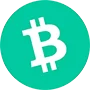 Bitcoin Cash payment option